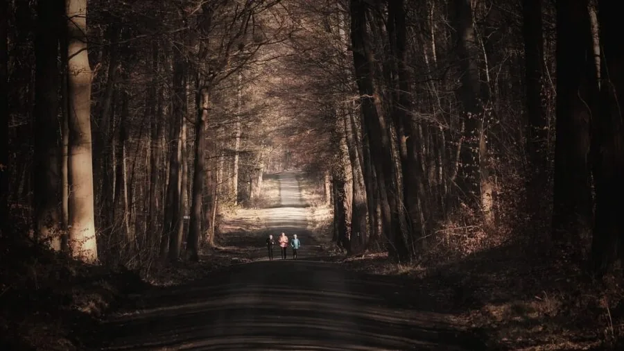 Active person running on forest trail during outdoor workout session