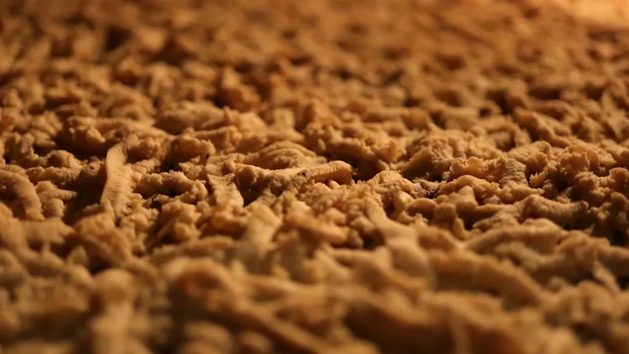 carpet fibers close up cleaning detail