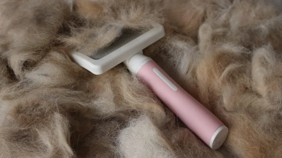 Close-up of tangled hair wrapped around a vacuum brush roll showing maintenance issues