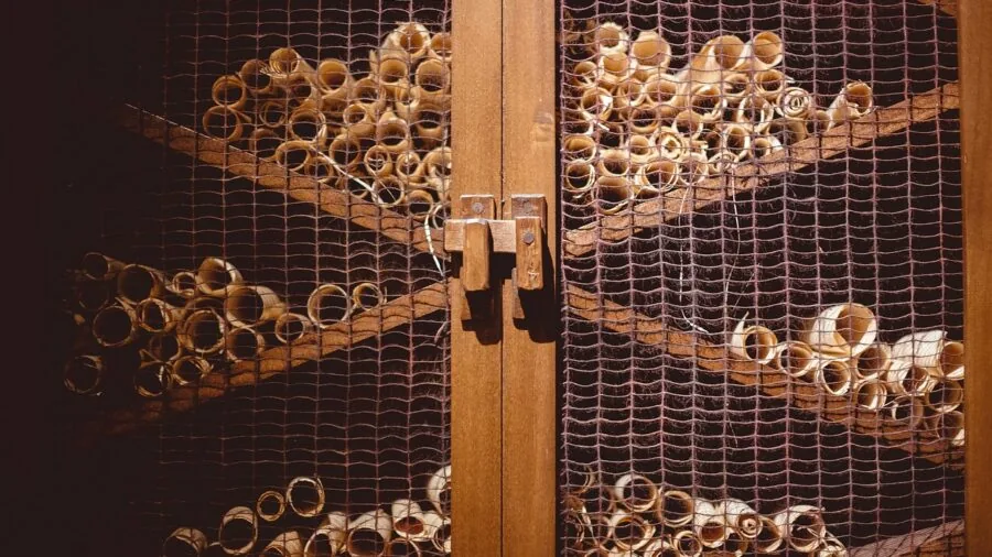Close-up of wooden cabinet door showing craftsmanship and wood grain texture in natural lighting