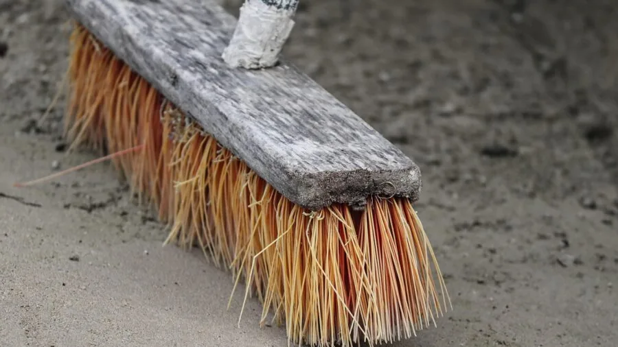 Close-up view of brush bristles agitating carpet fibers during cleaning