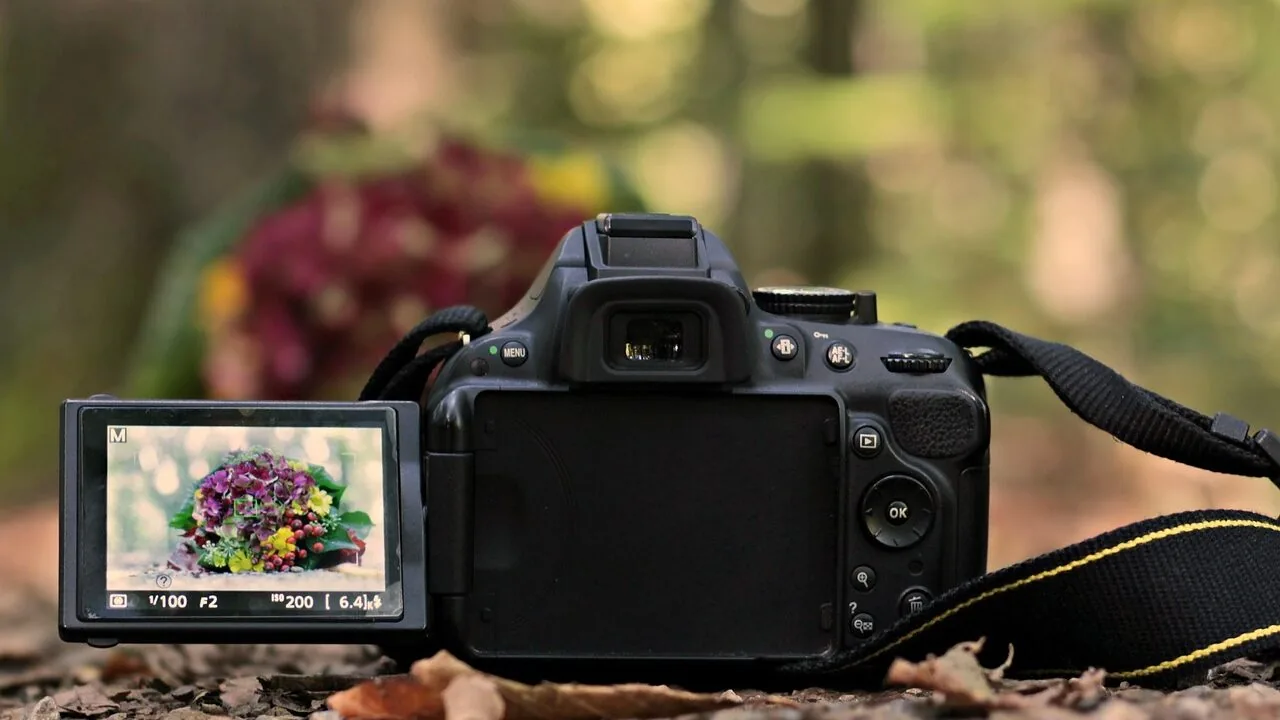 The Best Camera Lenses for Nikon Worth Buying