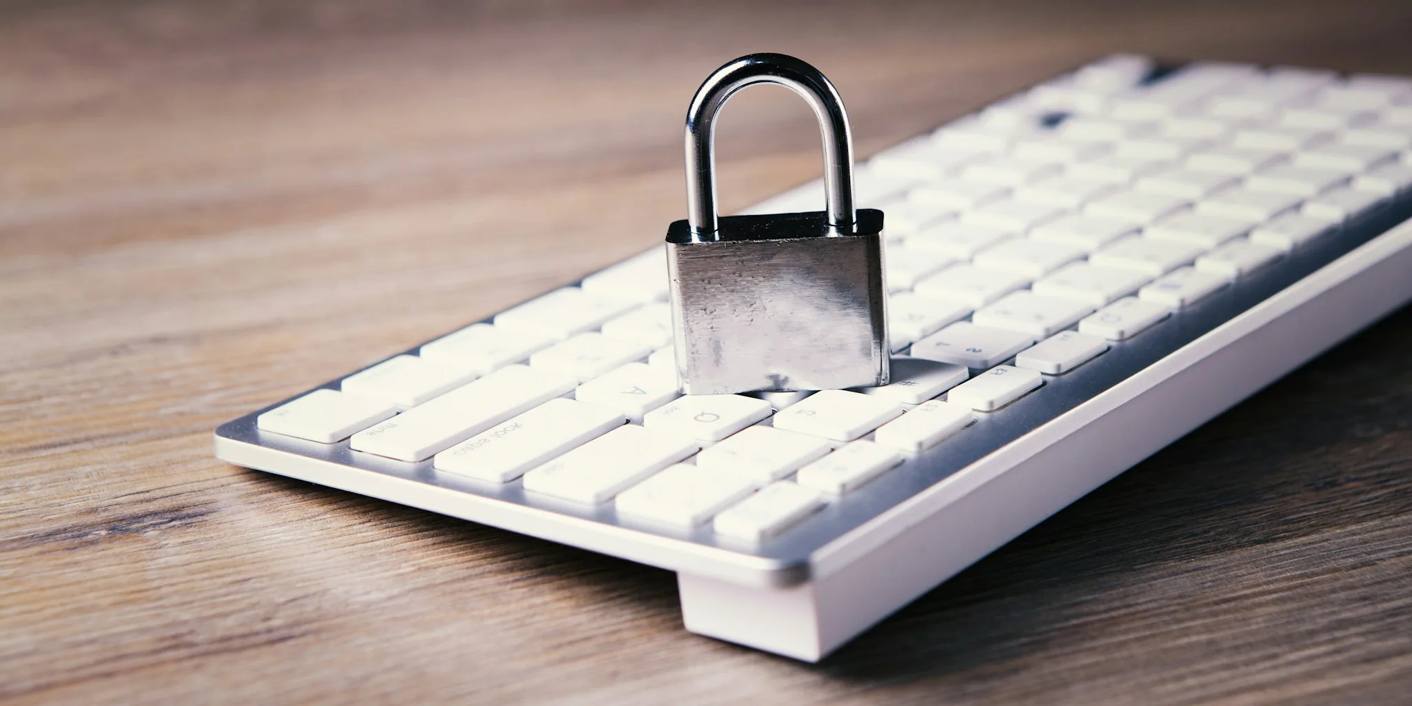Graphics Card Fraud Hits Buyers: What to Watch For
