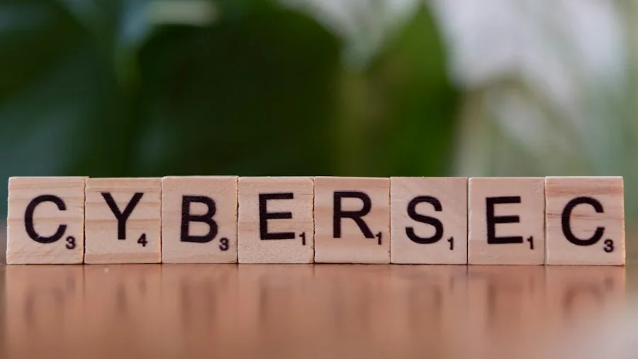 cybersecurity vulnerability detection