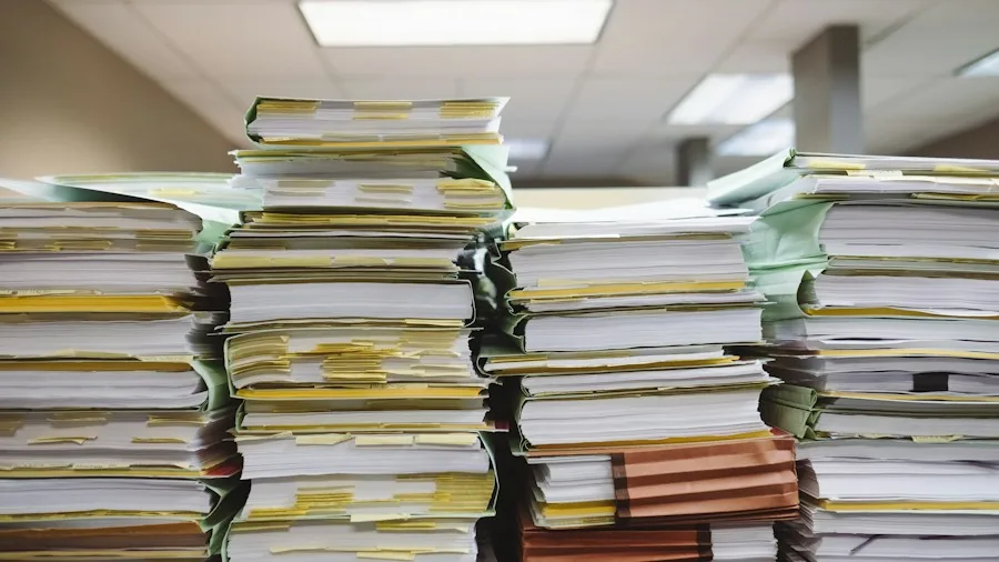 document organization file storage