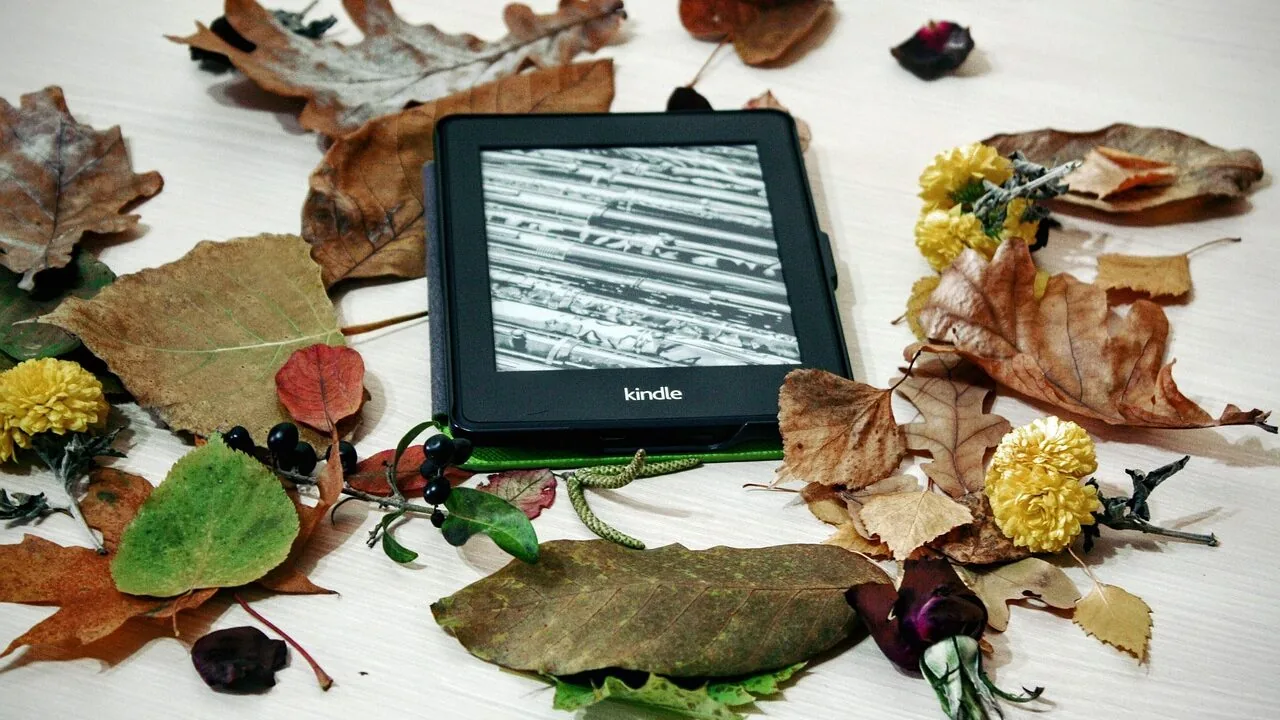 The Best E-Readers for Every Reading Budget