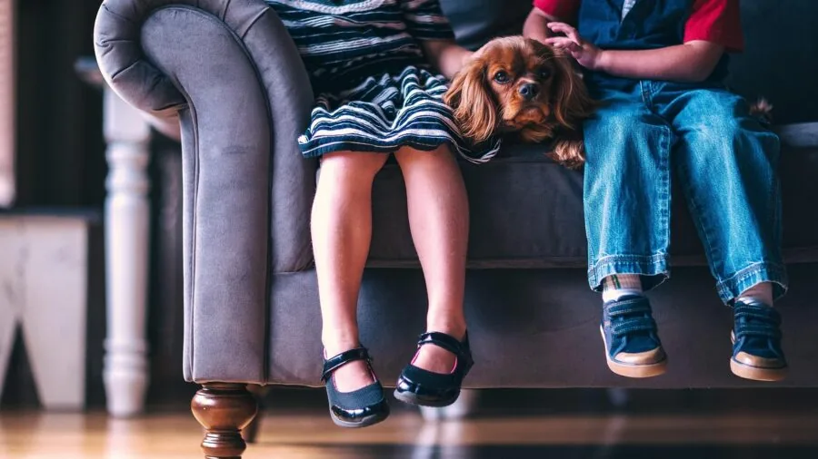 Family sitting on couch watching TV together in modern living room with comfortable seating arrangement