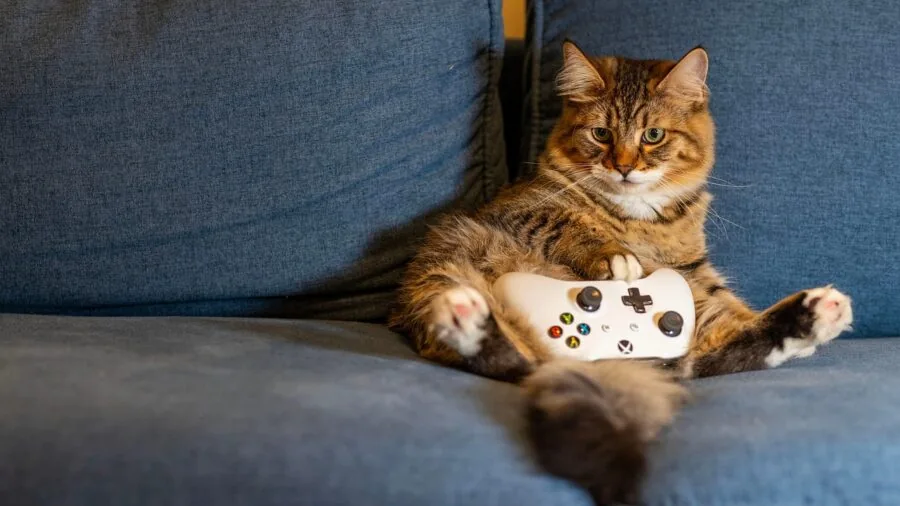 Gamer seated in chair demonstrating proper posture and seat comfort during extended gaming session