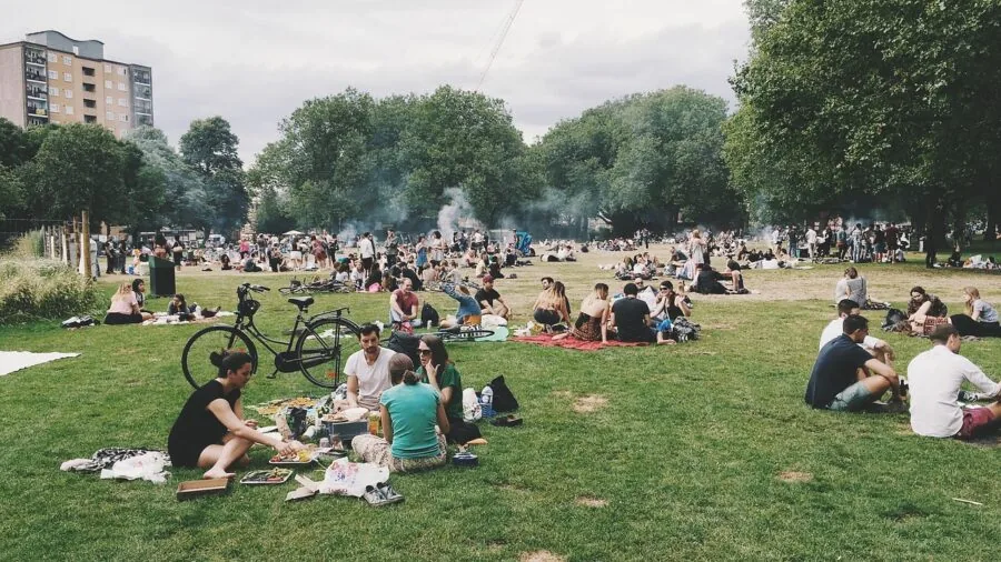 Group of friends enjoying music outdoors at a picnic in a natural setting