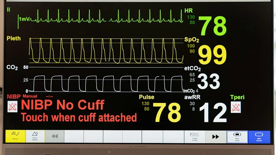 health monitoring features display