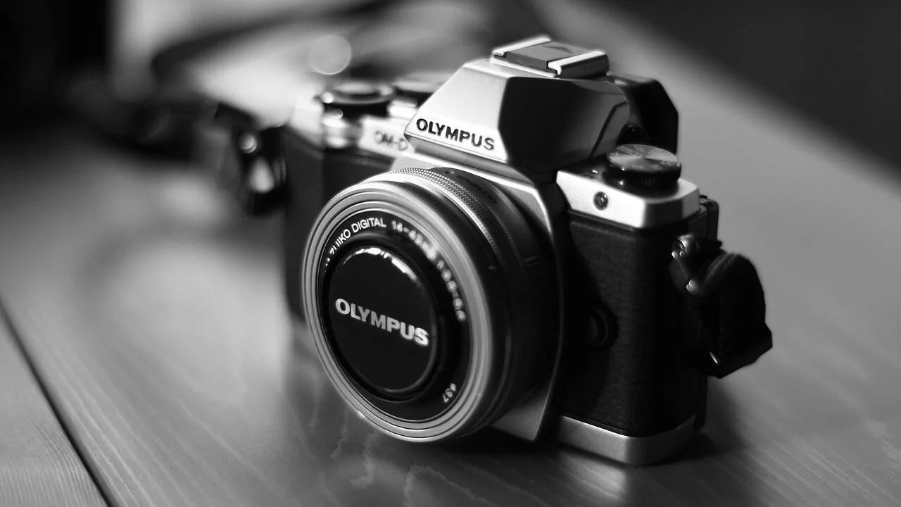 The Best Mirrorless Cameras for Every Photographer
