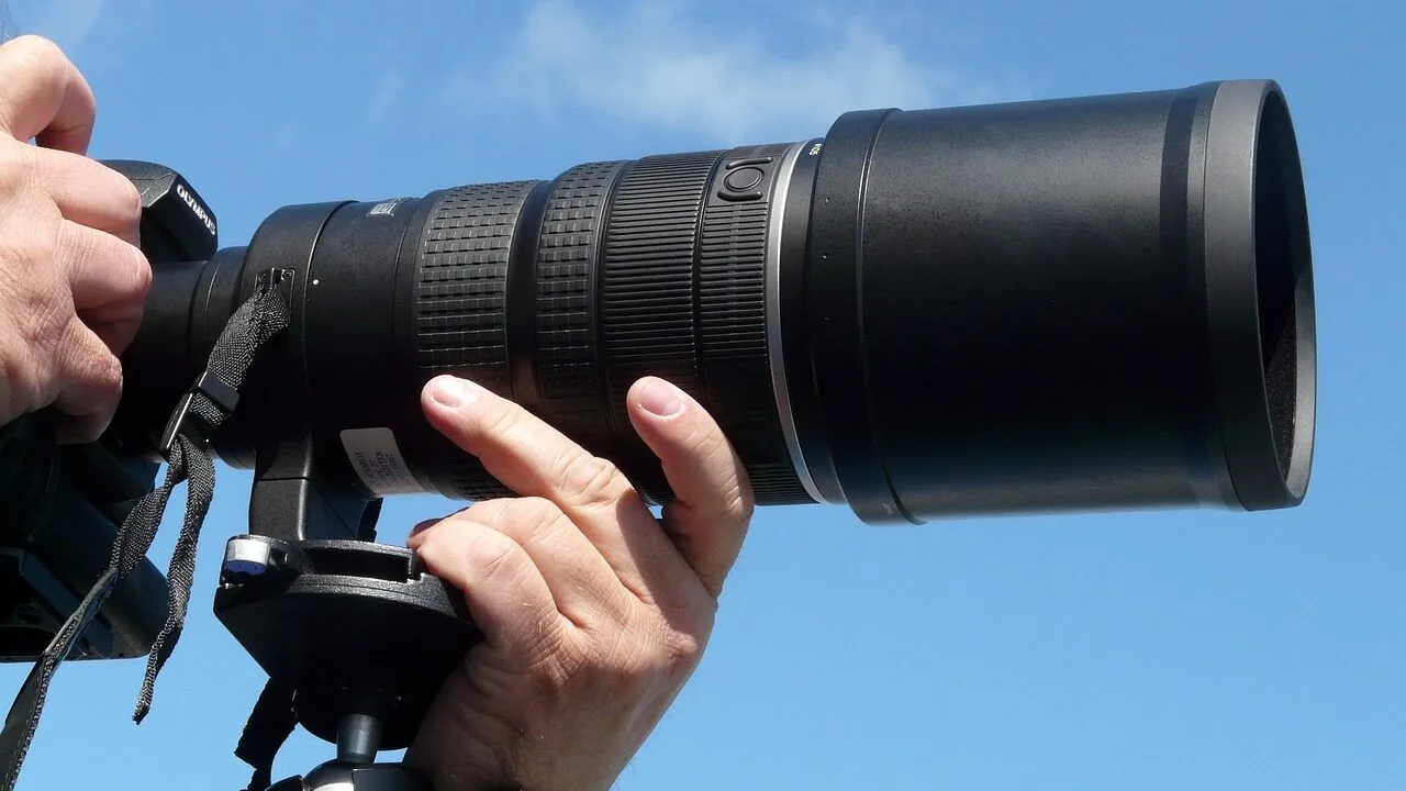 The Best Mirrorless Cameras for Wildlife Photography