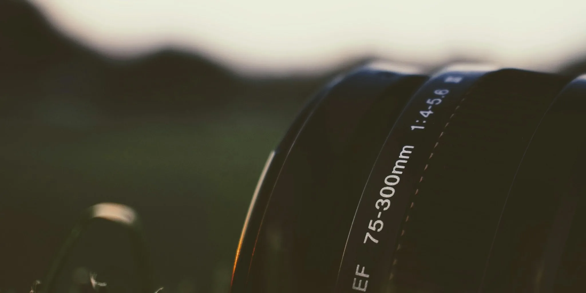Sigma's First Nikon Z Superzoom Arrives at $769