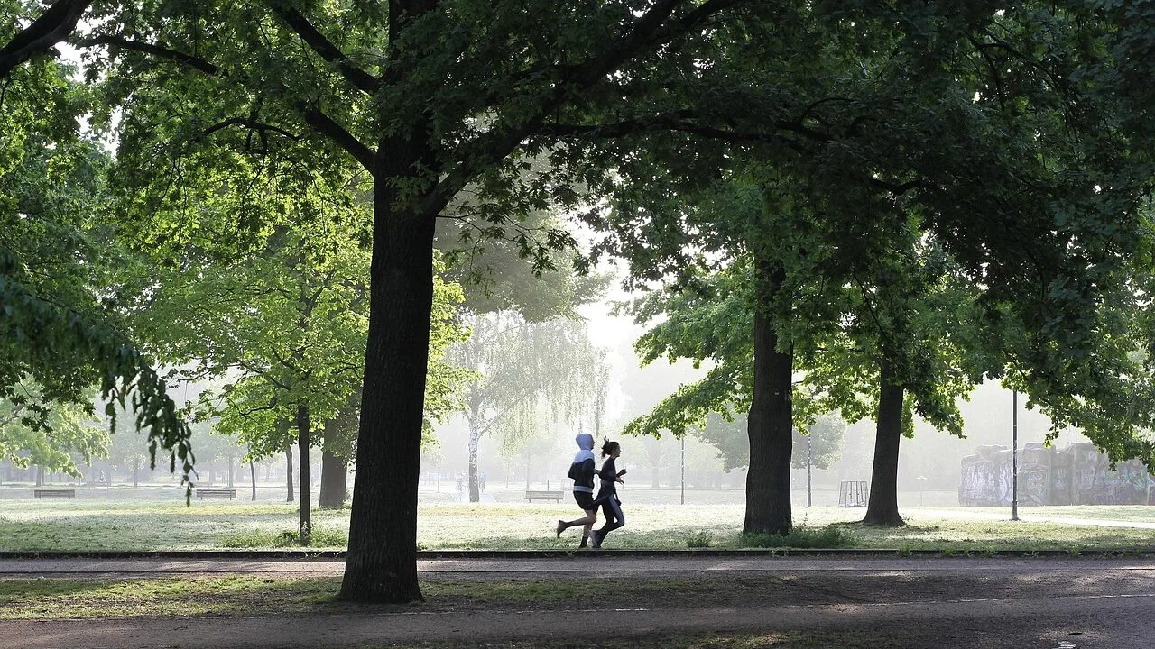 Our Favorite Open-Ear Headphones for Running
