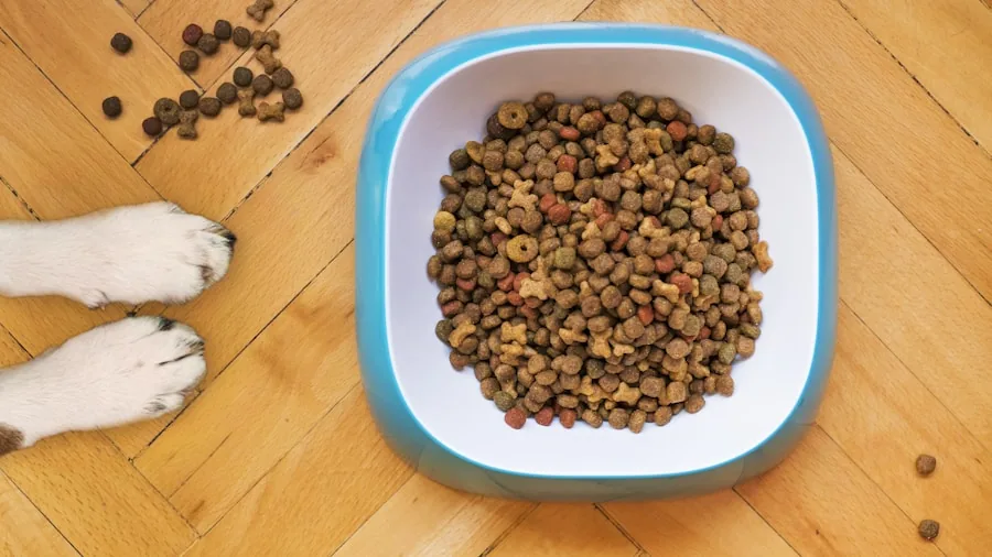 Owner preparing measured pet meal portions in kitchen during daily feeding routine