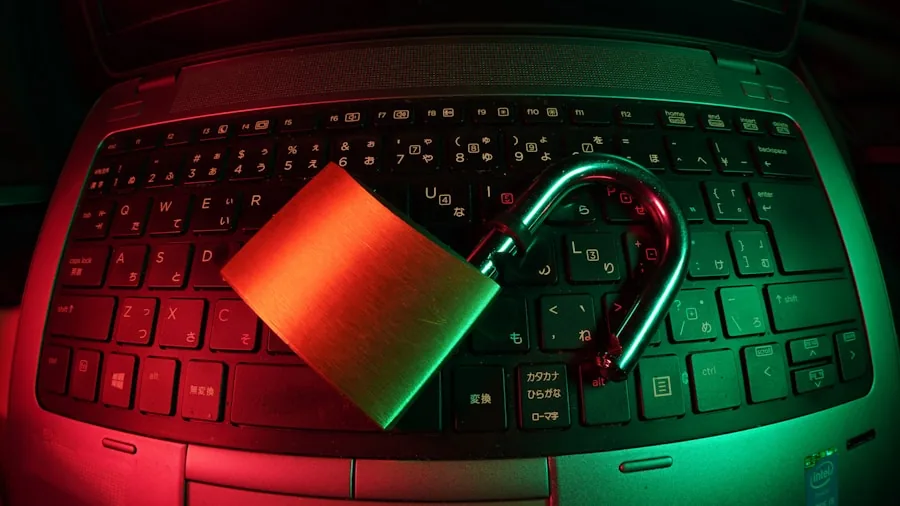 password manager security setup