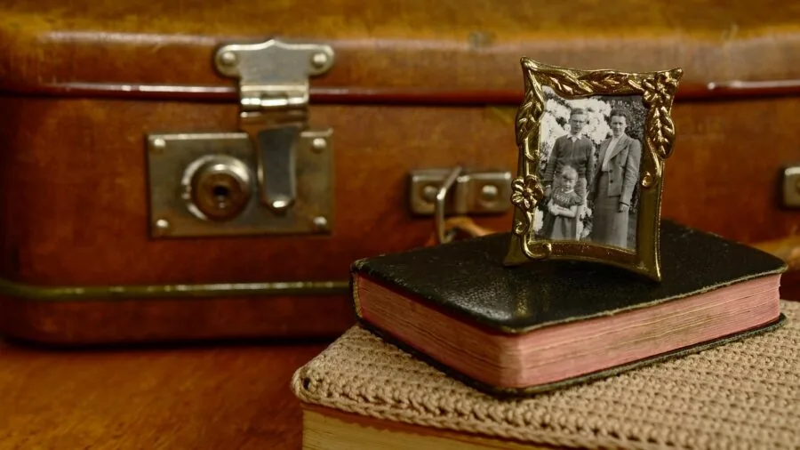 Person arranging printed photographs on a wooden table in natural light