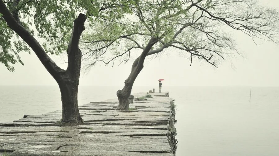 Person enjoying music in a quiet, peaceful environment with focused expression