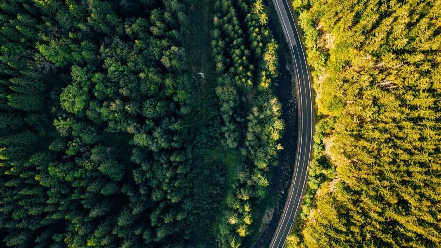 Person flying drone over scenic landscape with GPS safety features for beginner aerial photography