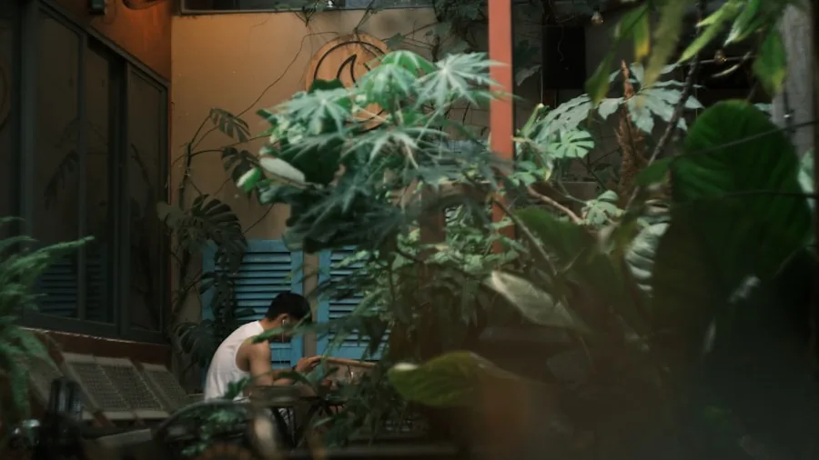 Person focused on work at computer in a calm, quiet workspace with natural lighting