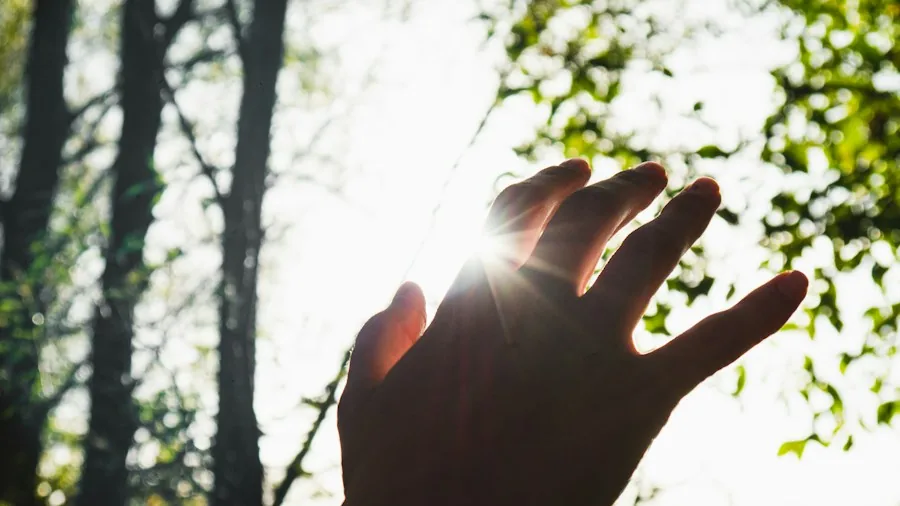 person holding tablet outdoor bright sunlight