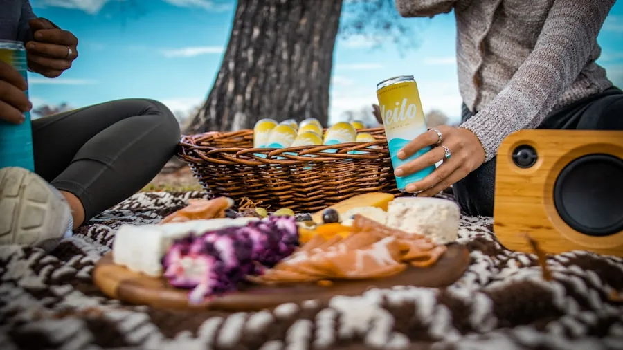 person listening speaker picnic relaxing