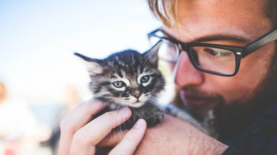 Person managing pet waste in home with multiple cats nearby