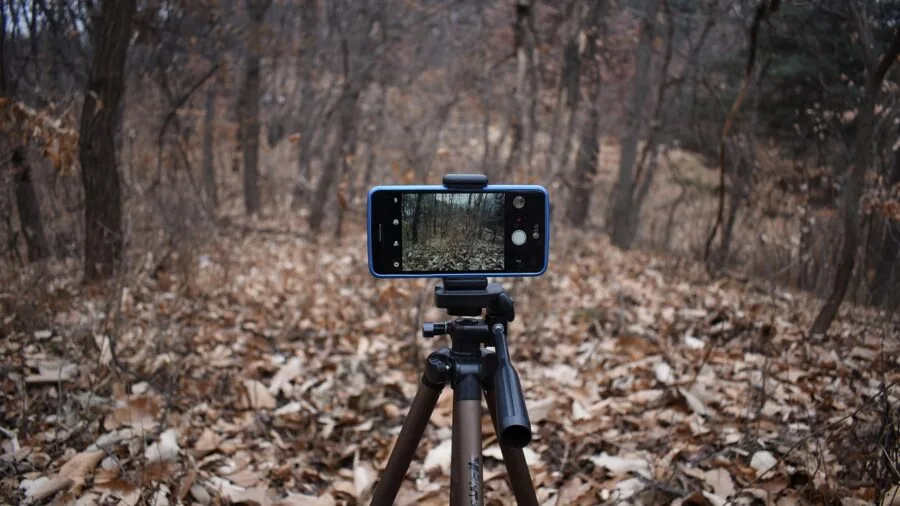 Person recording video on smartphone mounted to tripod in natural lighting setup