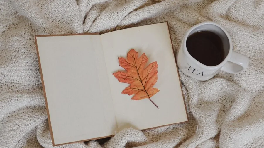 Person relaxing while reading a book in a comfortable, natural setting with warm lighting