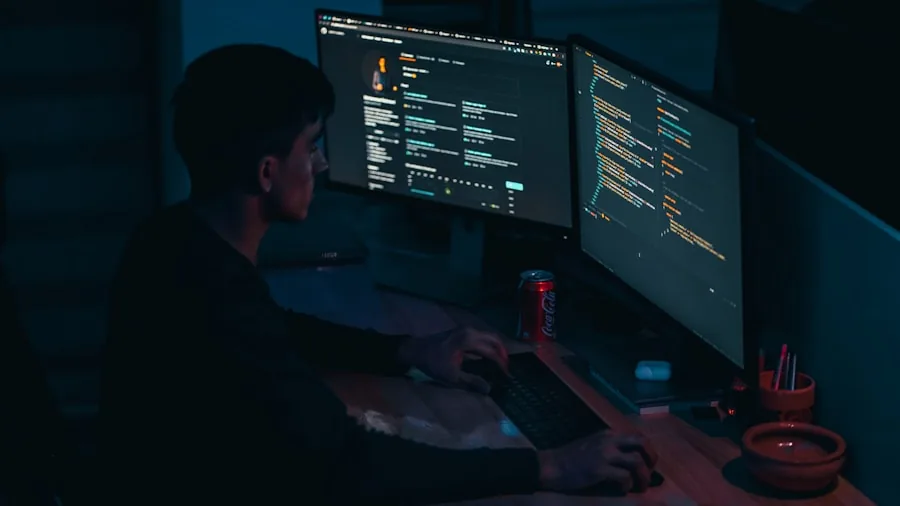 person reviewing software license options