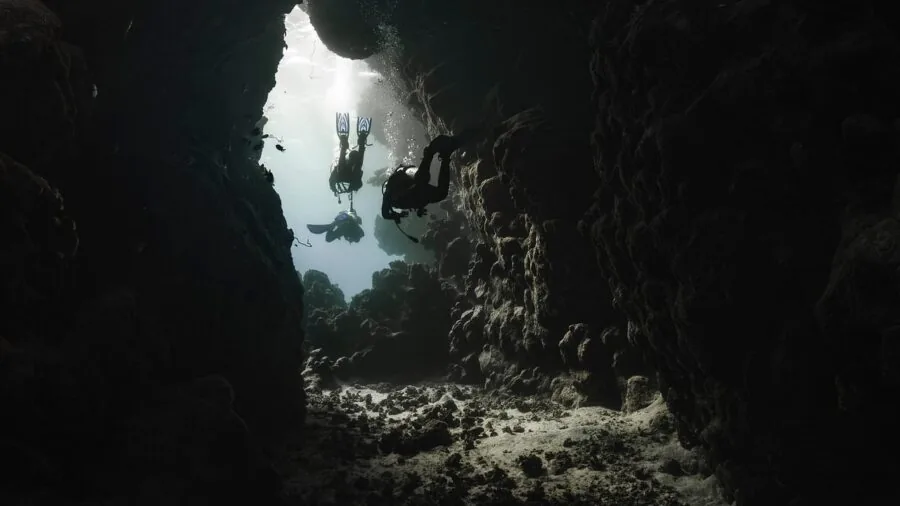 Person snorkeling in clear tropical water with camera equipment ready for underwater photography
