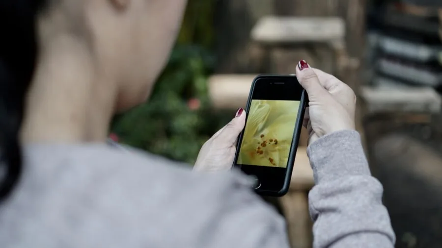 Person using smartphone to print photos wirelessly on home printer