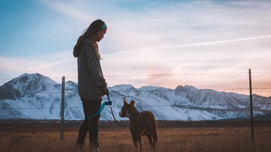 Person with dog exploring outdoors, checking GPS location on smartphone while hiking through natural landscape