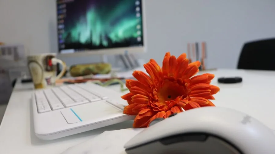 Person working at a desk with a computer setup in a home office environment