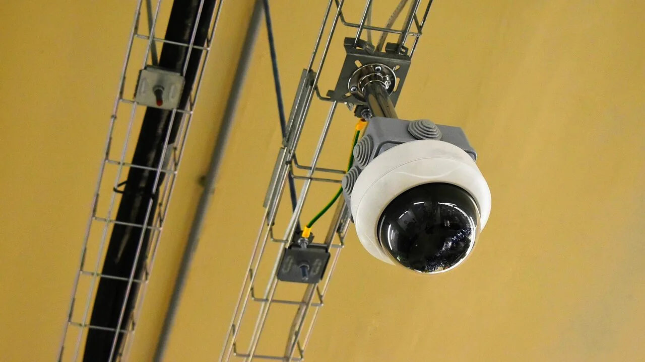 The Best Pet Cameras for Dogs Worth Buying