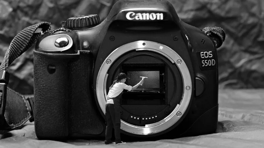 Photographer examining camera equipment in natural outdoor setting, comparing different cameras