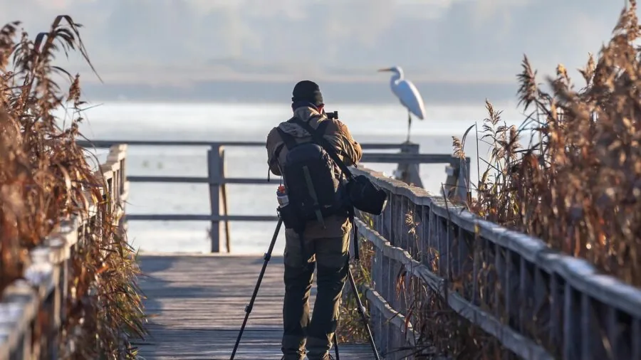Photographer in natural light adjusting camera settings while shooting outdoor landscape scenery