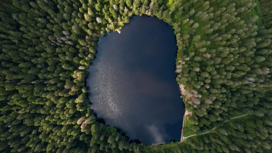 Photographer reviewing high-quality aerial images on camera equipment outdoors