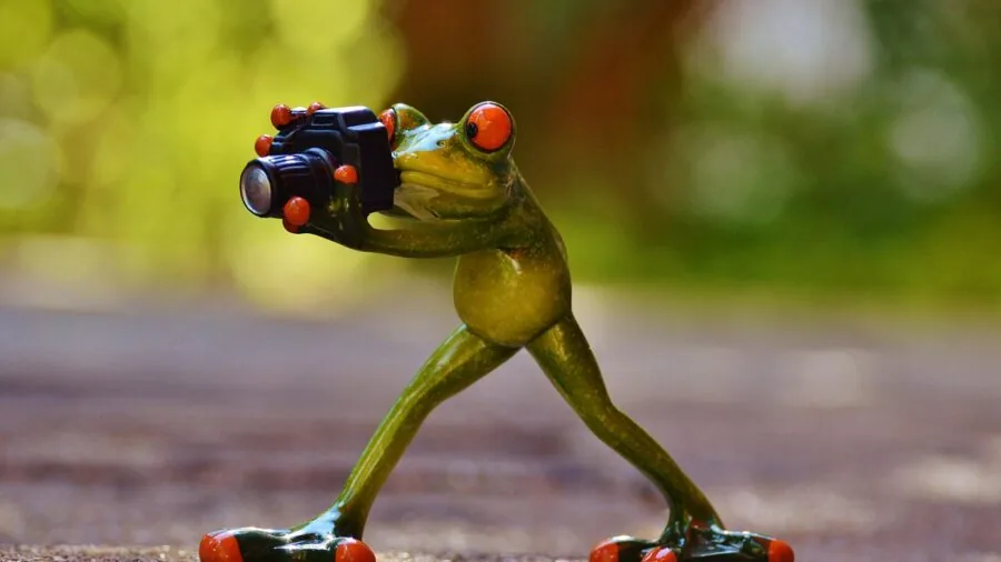 Photographer with camera tracking moving wildlife subject in natural outdoor setting