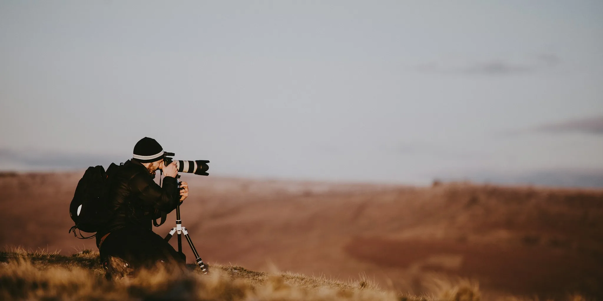 Japan Camera Rankings Shift by Category