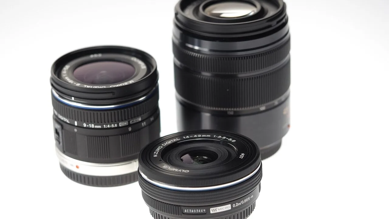 Camera Lenses for Wildlife Worth Buying in 2026