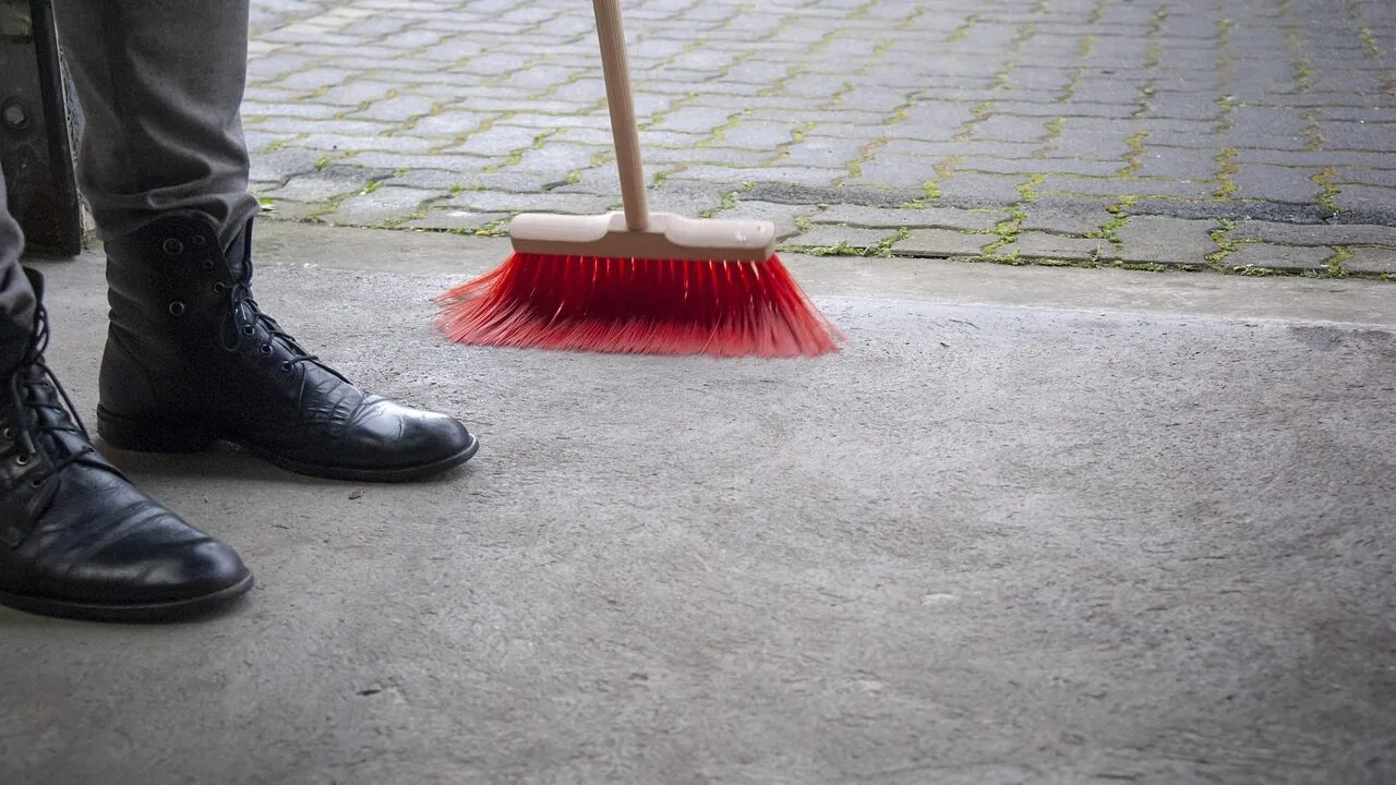 The Best Robot Vacuums for Carpet Worth Buying