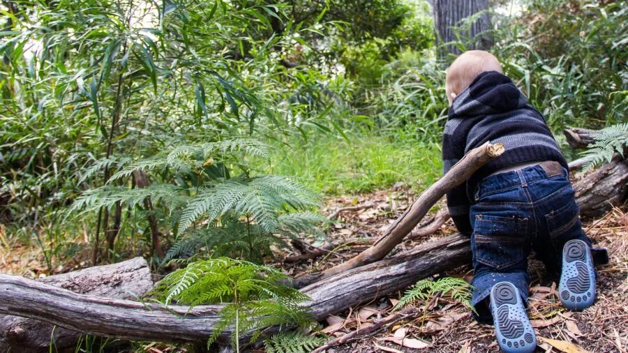 Small child exploring nature outdoors during daytime activity
