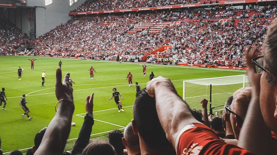 soccer fans watching match celebration