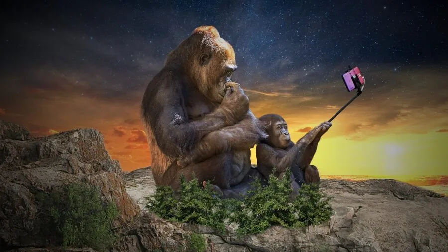 Solo traveler taking selfie with extended stick in scenic outdoor location while holding remote control