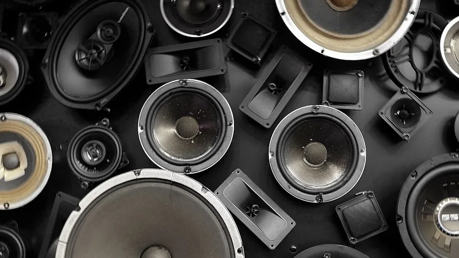 speaker damage dust maintenance