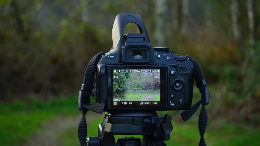 Videographer capturing smooth footage with stabilized equipment in natural outdoor setting