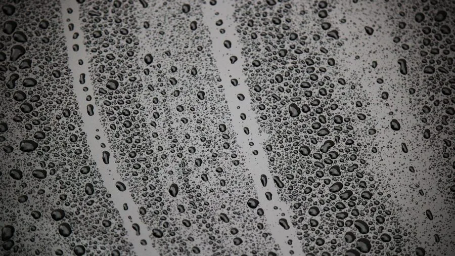 Wet keys sitting in water showing moisture damage and weathering from daily use