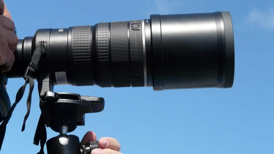 Wildlife photographer holding telephoto lens observing distant animals in natural habitat