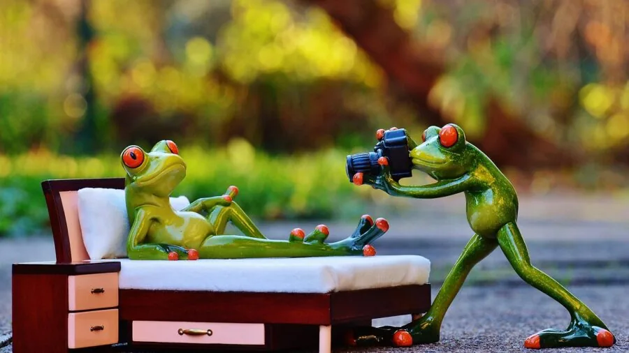 Wildlife photographer shooting from a moving boat in challenging lighting conditions